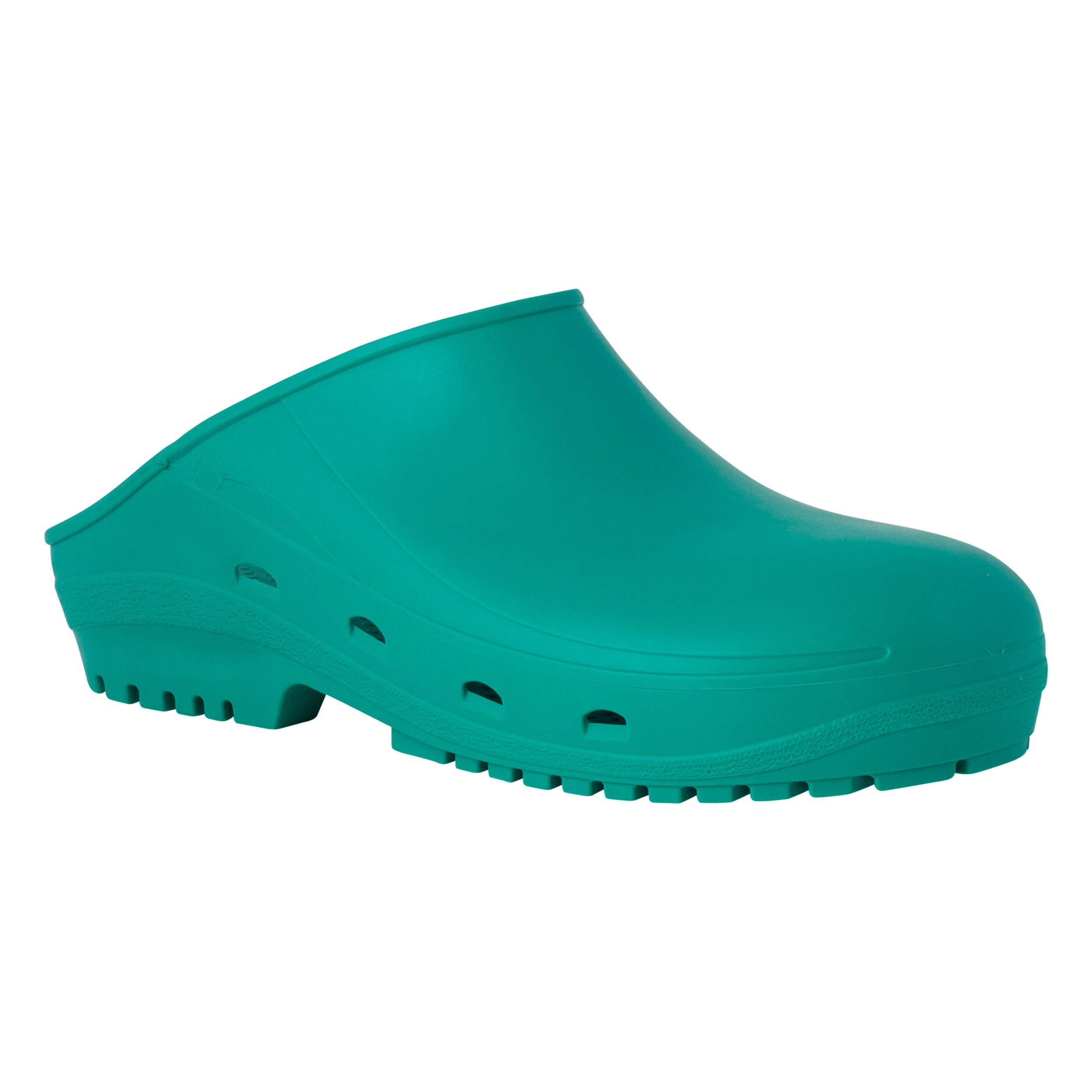 REPOSA Easy Model Sanitary Clogs, SRC Non-Slip Rubber Outsole, Anatomic Insole, Professional Socket in Thermoplastic Rubber Sterilizable in Autoclave, Anti-Static, Green, 10 UK