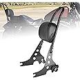 Goldfire Motorcycle Sissy Bar Detachable Rear Passenger Upright Backrest W/Cushion Pad for Harley Sportster XL 883 1200 2004-Up