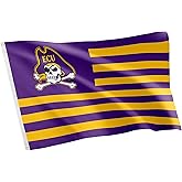 Desert Cactus East Carolina University Indoor and Outdoor 100% Polyester University Flag Banner, 3x5 Feet Pirates (Nation)