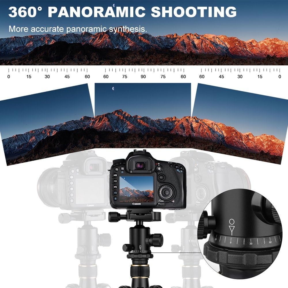 K&F Concept 62'' DSLR Tripod, Lightweight and Compact Aluminum Camera Tripod with 360 Panorama Ball Head Quick Release Plate for Travel and Work (TM2324 Black) : Camera & Photo