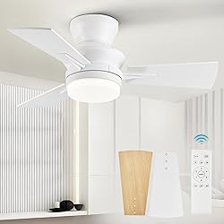 LEDIARY 30 Inch Small Ceiling Fan with Lights and