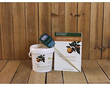 Citrus Pflegepaket'Piccolo'