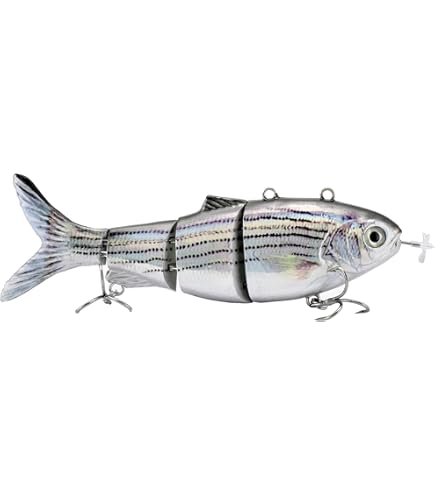 Robotic lure / UFISH  電動アニメーションルアー Amazon.com : UFISH - 3.5