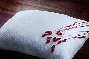 Good Life Essentials Shredded Memory Foam Hypoallergenic Pillow with Stay Cool Bamboo Cover, King