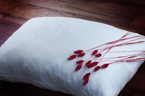 1 Shredded Memory Foam Pillow by Good Life Essentials Review