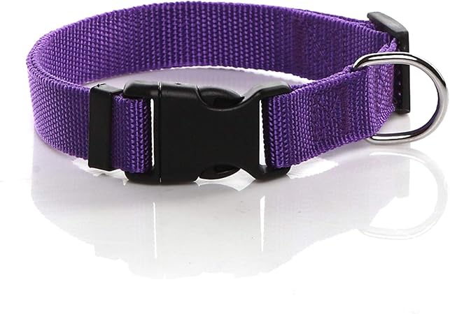 amazon large dog collars