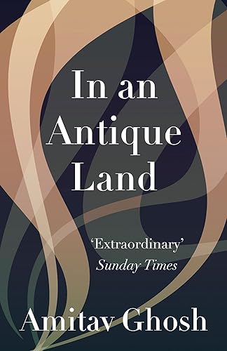 Download In an Antique Land PDF