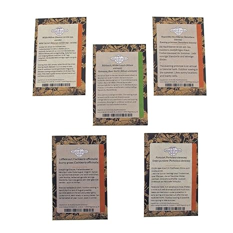 Magic Garden Seeds Kit de Semillas Regalo: Hortalizas Silvestres ...