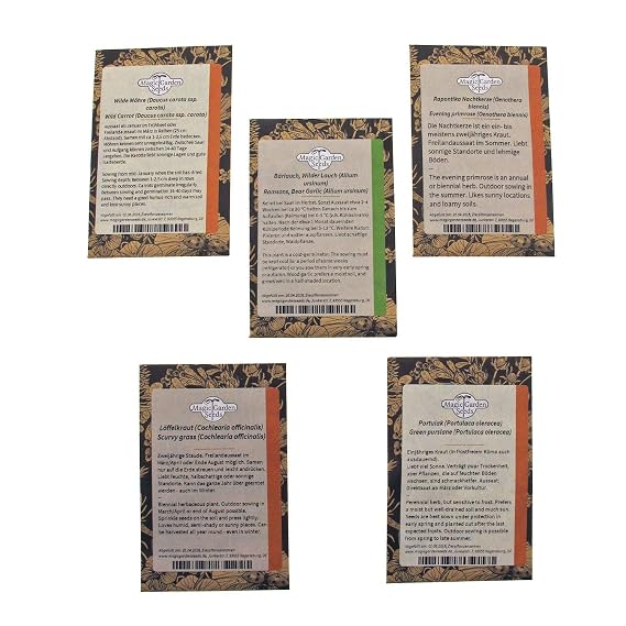 Magic Garden Seeds Kit de Semillas Regalo: Hortalizas Silvestres ...
