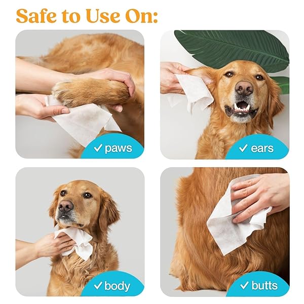 WIPEMATE EXTRA LARGE 400CT DOG/CAT PET WIPES FOR MEDIUM TO LARGE PETS PREMIUM UNSCENTED WIPES, NO-RINSE SOLUTION HYPOALLERGENIC GENTLE DEODORIZING CLEANS PAWS, EARS, FUR, BUTT, & ANAL GLANDS