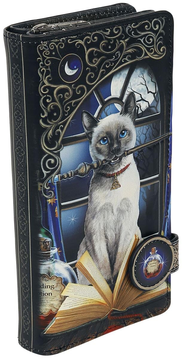 Nemesis Now B4865P9 Hocus Pocus Embossed Purse Lisa Parker 18.5cm, PU, Black