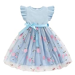 Sinhoon Toddler Girl Tulle Dress Summer Ruffle