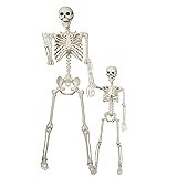 breesky Halloween Skeleton Model for