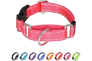 BXPAW Martingale Collar for Dogs,Reflective No Pull Dog Collars with Quick Release Buckle,Adjustable Nylon Martingale Dog Collar for Walking Training(Hot Pink, Large)