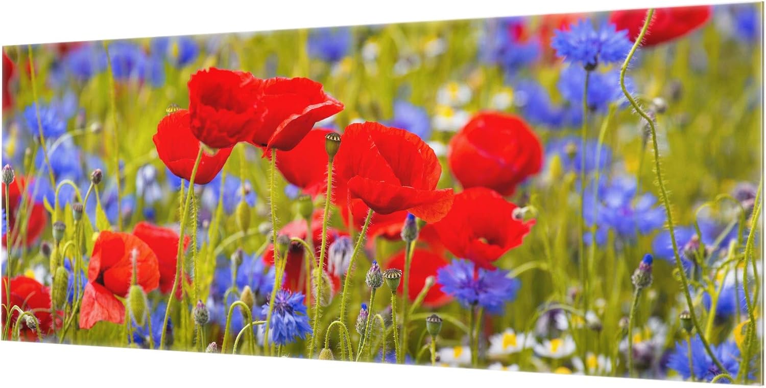 Bilderwelten Spritzschutz Glas Sommerwiese Mit Mohn Und Kornblumen Panorama 40 X 100cm Backofen Herdzubehor Elektro Grossgerate Pozegaonline Rs