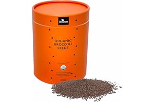 ZESTIGREENS Broccoli Sprouting & Microgreens Seeds-Organic, Non-GMO, Heirloom Sprout Seeds Kit, Bulk Resealable Container for Growing Superfood Sprouts and Microgreens (1 Pound)