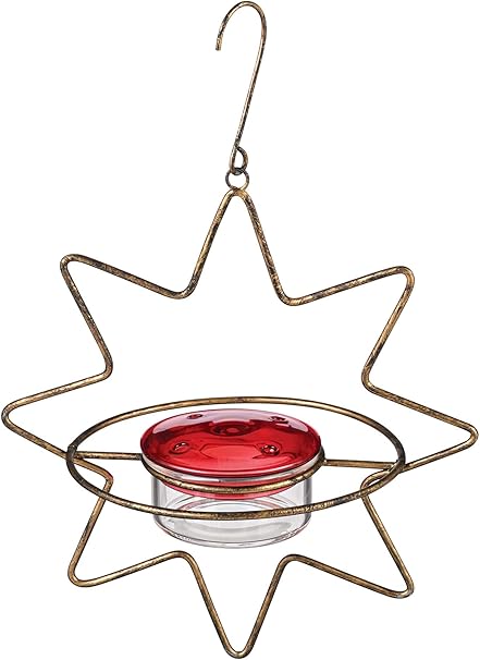 Amazon Com Grasslands Road 465825 Star Hanging Hummingbird