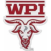 Rico Industries NCAA Worcester Poly Engineers Shape Cut Pennant - Home and Living Room Décor - Soft Felt EZ to Hang