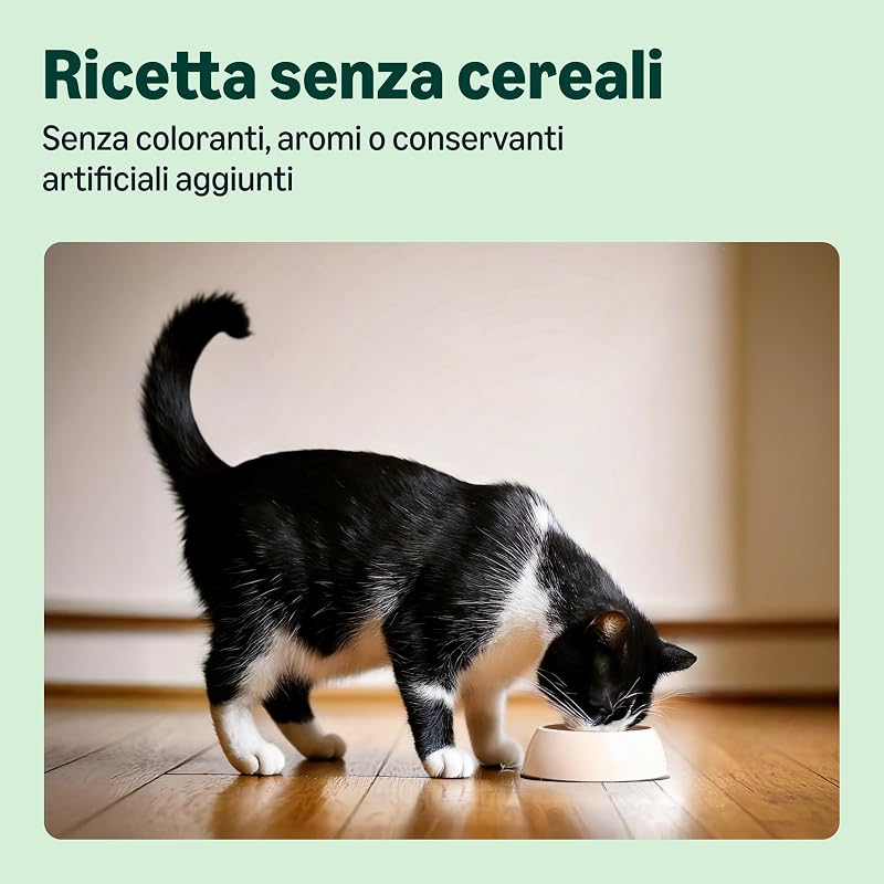 Cibo completo per gatti con ricetta senza cereali, Senior, con pollo fresco 3kg