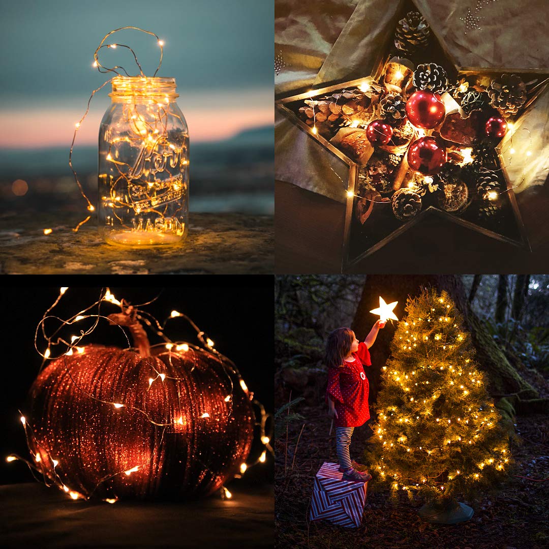 100 LED Starry Fairy Light, 33FT USB Decorative Light with Remote Timer Adapter, Waterpoorf String Light for Party, Holiday, Christmas, Garden, Weeding,Indoor and Outdoor Decation