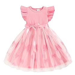 Toddler Girl Tulle Dress Summer Ruffle Sleeveless