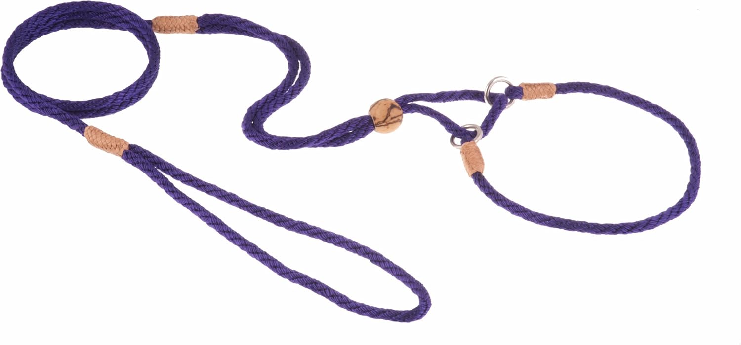 Alvalley Nylon Martingale Show Lead for Dogs 4mm X 42in x