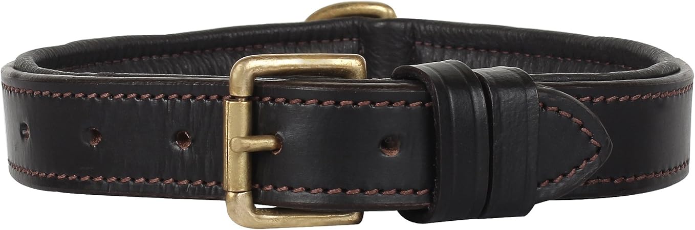 leather and brass dog collars