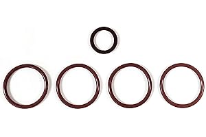 Nelson Seals Viton O-Ring Rebuild Kit for 03-04 Ford Mustang SVT Cobra Coolant Crossover Tube