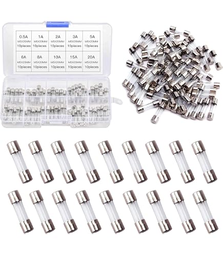 Tnisesm 241-Piece Fast Blow Glass Fuse Assortment Kit – 0.2A–20A, 5x20mm & 6x30mm, 15 Values, 250V, Clear Plastic Storage Box