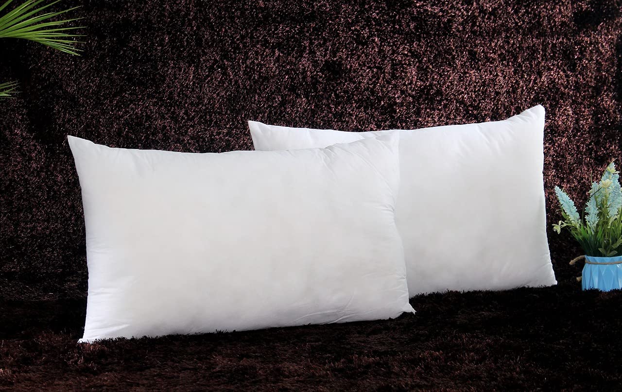 Buy RD TREND Non Wooven Throw Pillow Inserts Ultra Soft Pillow Stuffer
