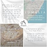 Absolute Aromas Frankincense Essential Oil 10ml Pure Boswellia Carteri view 3