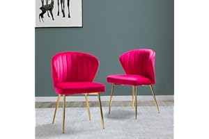 TINA'S HOME Velvet Dining Chairs Set of 2, Modern Upholstered Side Chair with Golden Legs, Small Cute Armless Accent Chair fo
