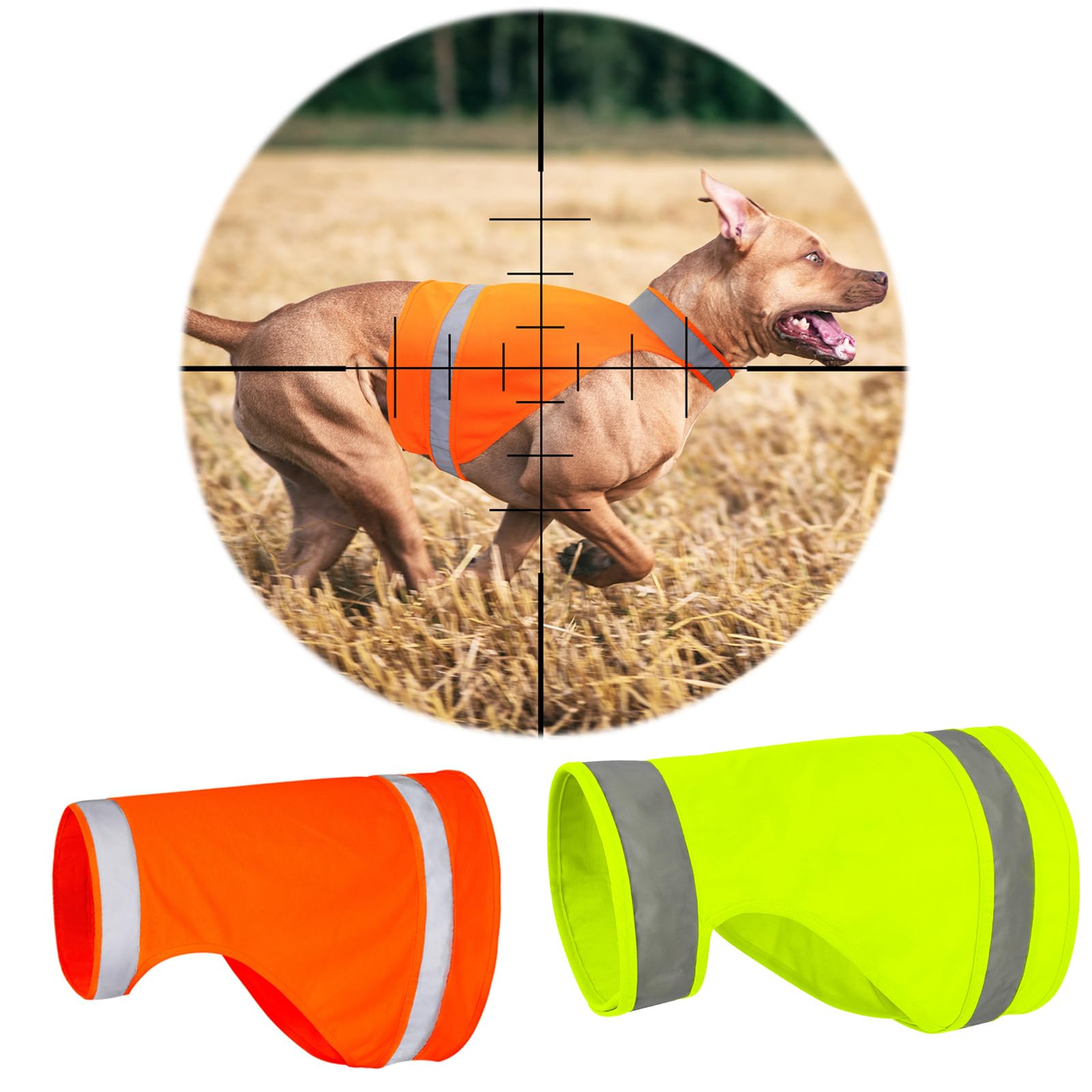 BiPawTi 2 PCS Hi-Vis Safety Reflective Dog Vest, Fluorescent Dog Hunting Vest, Keep Pets Visible in Any Outdoor Activity, Dogs Safety Coat for Night Walking, Hunting, Jogging - Blaze Orange & Green, M