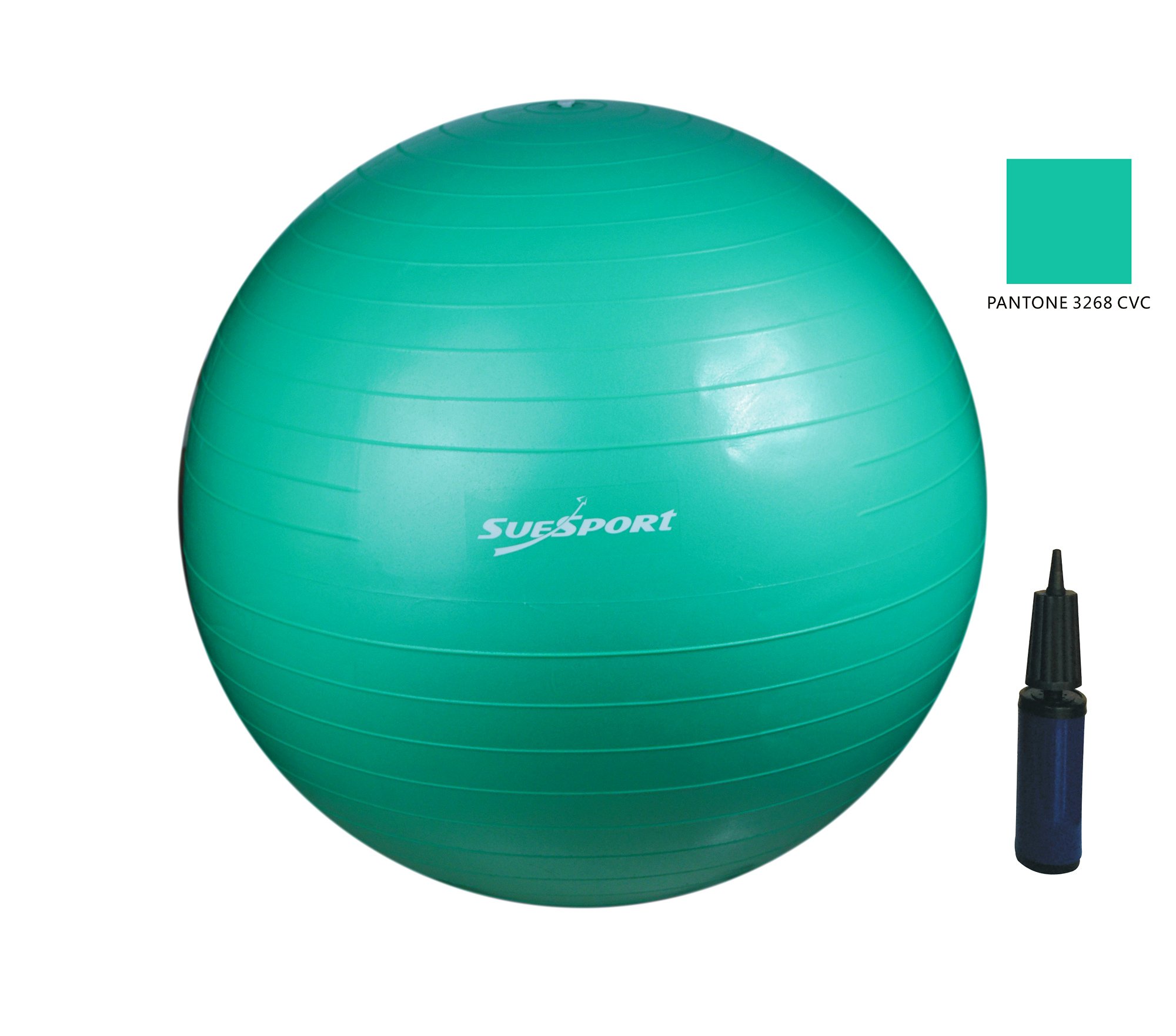 exercise ball kit