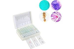 PALOBIL 30 Microscope Slides with Specimens,Prepared Microscope Slides for Kids,Glass Slides for Microscope,Prepared Slides for Kids Microscope,Microscope Slide Preparation Kit for Biology Science Classes