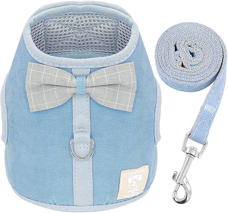 SEWOART 2x Schildkrötenleine - Geschirr & Leine Für Reptilien Wie Echsen & Geckos