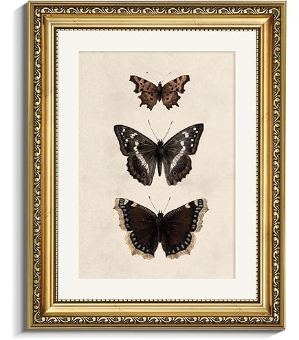 old sea＊MIYABI × antique butterfly Japanese Vintage Awata-yaki Kyoto Satsuma Porcelain