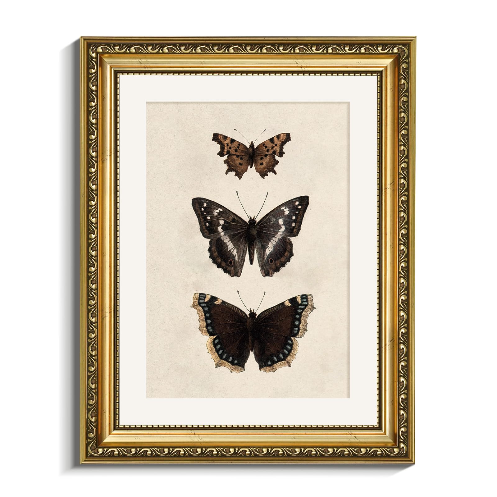 Photo 1 of VIYYIEA Vintage Gold Framed Butterfly Wall Art, Bedroom Bathroom Shelf Retro Butterfly Illustration Room Decor, Canvas Prints, Antique Picture Frame Paintings Home Farmhouse Wall Decor, 11x14 Inch