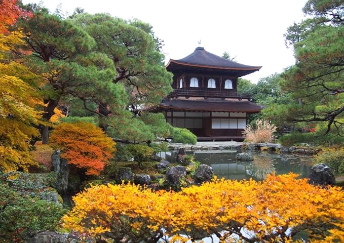 Amazon 絵画風 壁紙ポスター はがせるシール式 銀閣寺 慈照寺 紅葉 室町時代 東山文化 相国寺 キャラクロ Gkj 003a2 版 594mm 4mm 建築用壁紙 耐候性塗料 おもちゃ ホビー