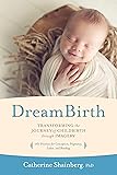 DreamBirth: Transforming the Journey of Childbirth