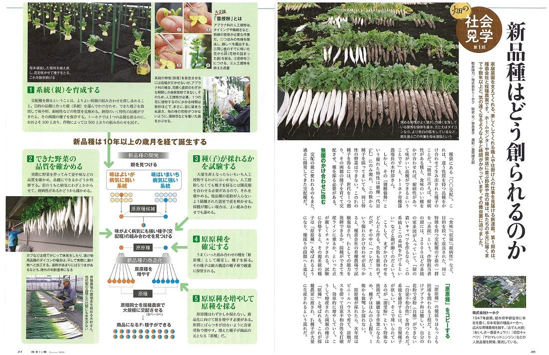 やさい畑 夏号 年 8月号 Amazon Com Books