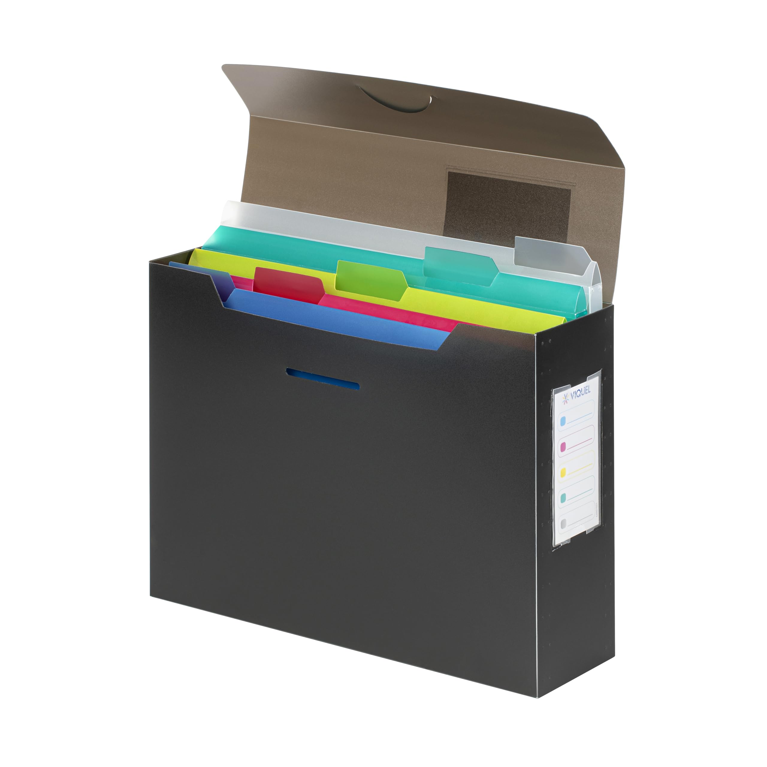 VIQUEL - Filing Box A4 Filled with 5 Removable PROPYGLASS sub-folders - A4 File Folder - Translucent Grey