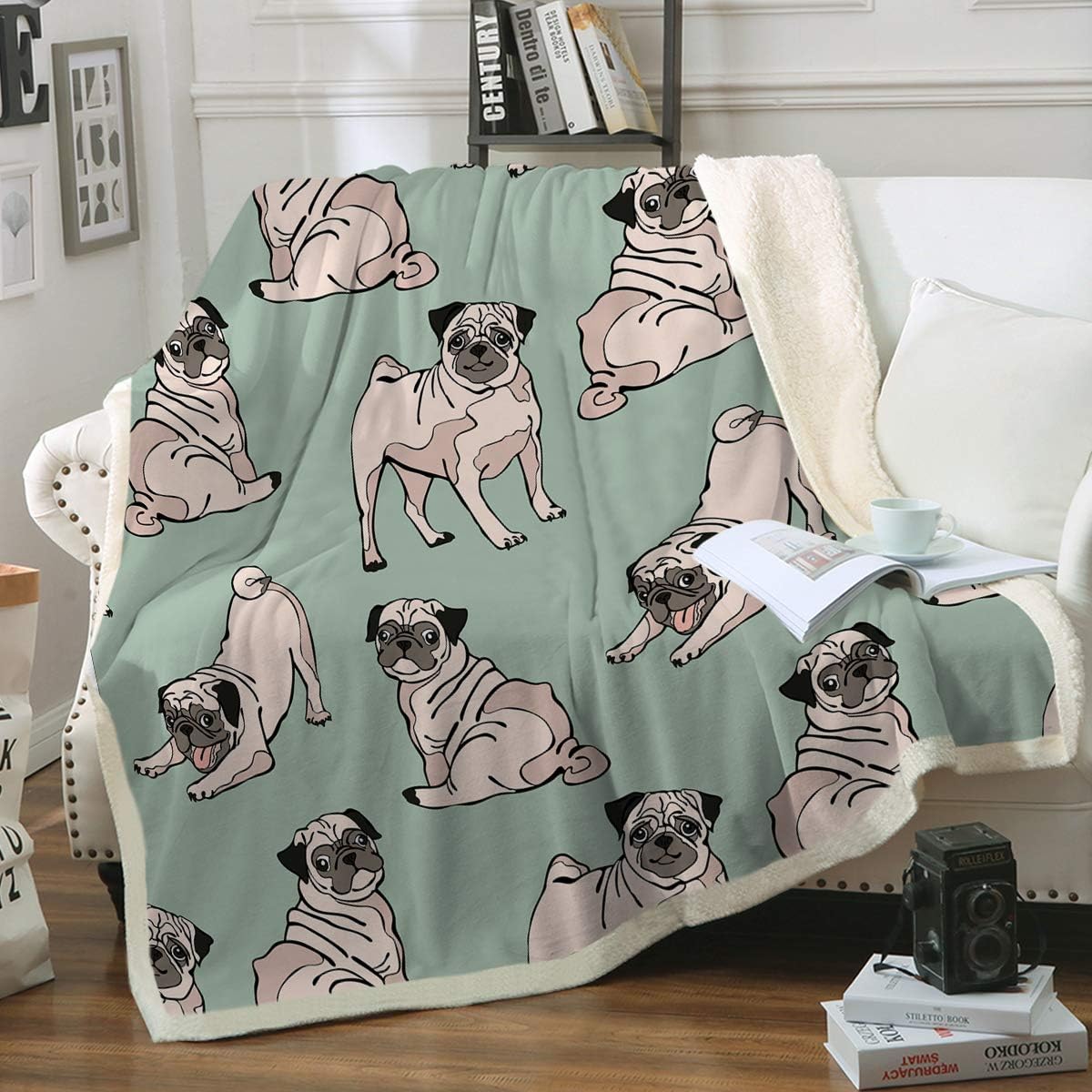 pug with blanket