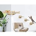 Cat Wall Shelves, Wood Cat Shelves and Perches with 3 Wall Steps Furniture Scratch Post, Burlywood Indoor Climbing Shelf for Living Room, Bedroom