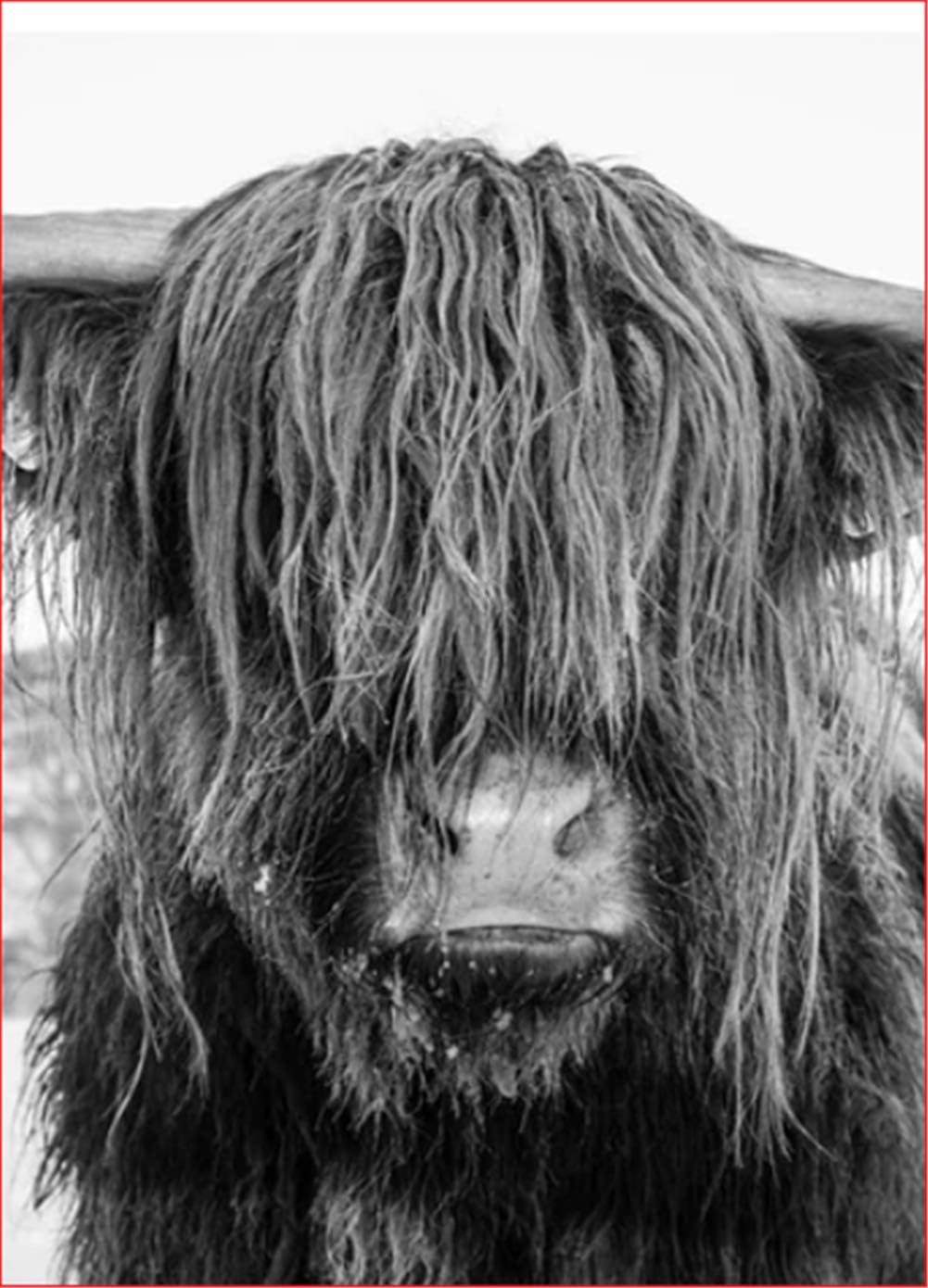 LanMent Painting by Numbers for Adults Long Haired Cow, DIY Oil Paint by Number Kits Home Decor Wall Gift Painted for…