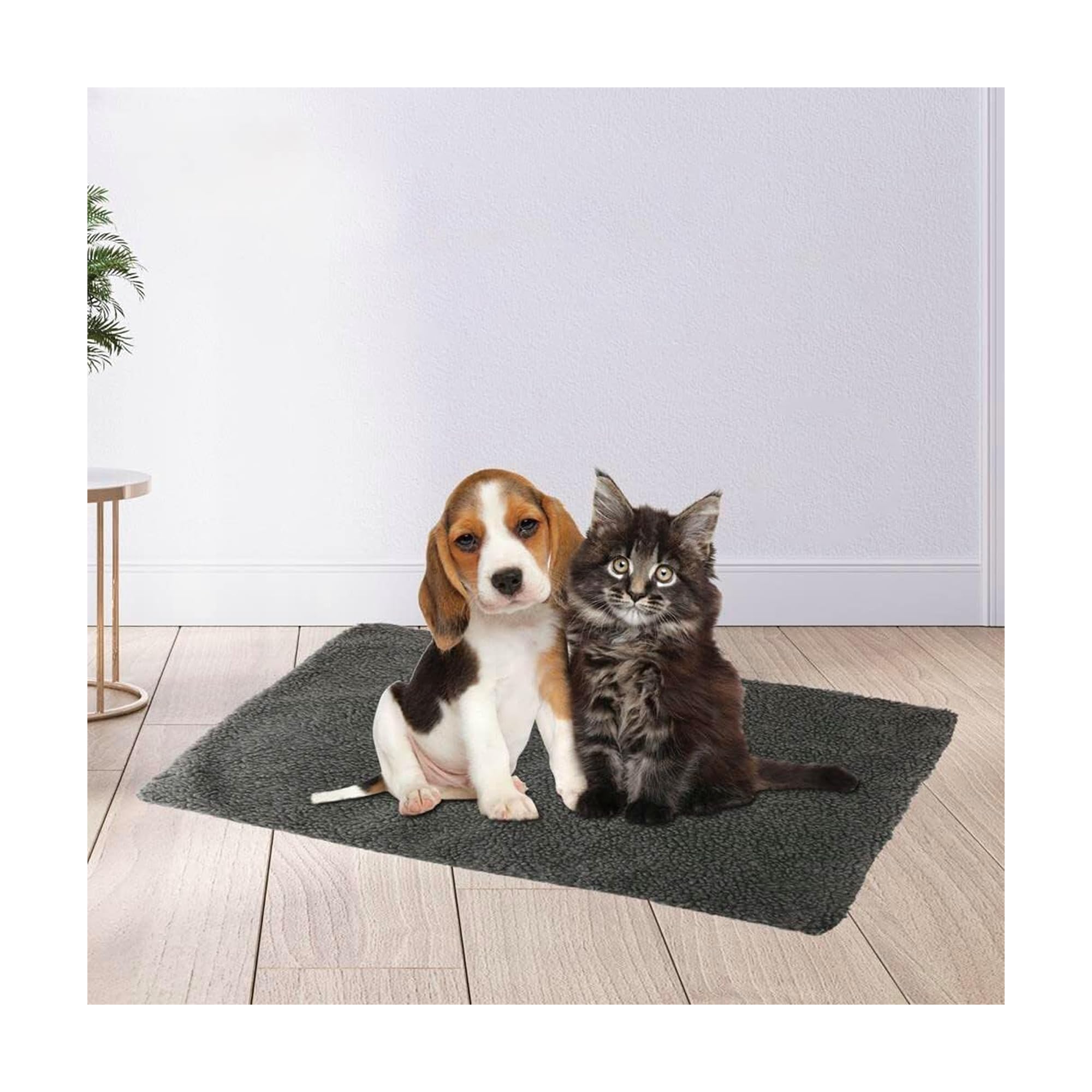 ALL IN HERE Dog Self Heating Pads Extra Soft Comfortable Cat Pet Bed For Cats Kittens, Medium Dogs Cushion Warm Thermal Performance – Washable Faux Fur Cover (Medium – 64 x 49cm)