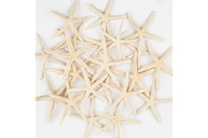 QEQEKAKA 20 PCS Small Starfish for Crafts 2" to 4" Natural Starfish Decor Bulk, for Wedding Beach Theme Decor Home DIY Crafts Decor Christmas Tree Starfish Ornaments