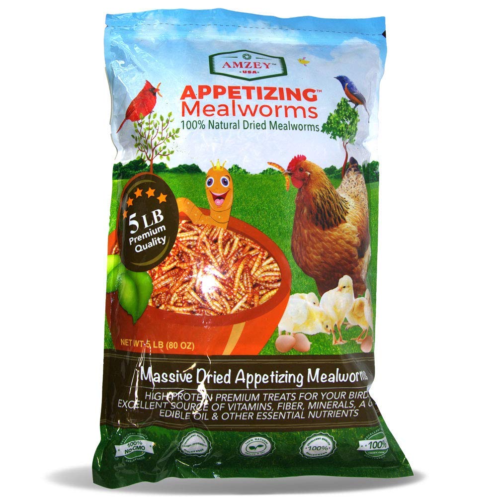 Appetizing Mealworms 5lbs100 NonGMO Dried Mealworms HighProtein