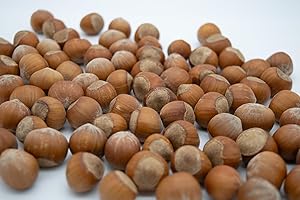 Lila Bazaar - 2LB Resealable Bag - Oregon Hazelnuts in Shell - Raw, Whole, Unsalted, Fresh, Nutty - No Added Flavor, No GMO
