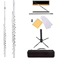 Mendini By Cecilio Flute, 16 Keys C Flute Instrument Closed Hole For Beginners with Carrying Case, Cork Grease, Stand, Lesson Book, Cleaning Kit, Gloves- Silver